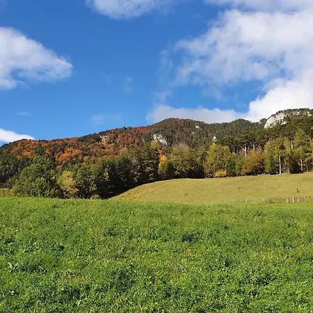 Apartament Imzentrum