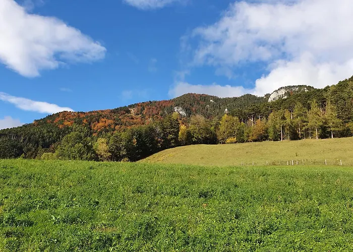 Apartament Imzentrum